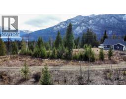 247 Fullmoon Road, Rosebery, BC V0G1S1 Photo 11