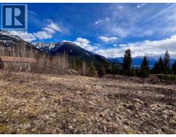 247 Fullmoon Road, Rosebery, BC V0G1S1 Photo 27