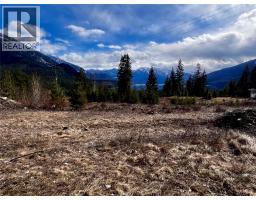 247 Fullmoon Road, Rosebery, BC V0G1S1 Photo 7