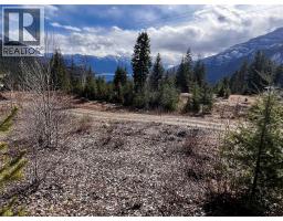 247 Fullmoon Road, Rosebery, BC V0G1S1 Photo 18