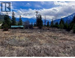 247 Fullmoon Road, Rosebery, BC V0G1S1 Photo 30