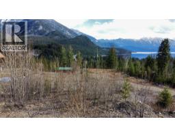 247 Fullmoon Road, Rosebery, BC V0G1S1 Photo 22