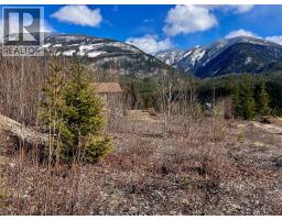 247 Fullmoon Road, Rosebery, BC V0G1S1 Photo 19