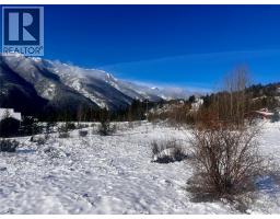 247 Fullmoon Road, Rosebery, BC V0G1S1 Photo 16