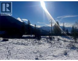 247 Fullmoon Road, Rosebery, BC V0G1S1 Photo 31