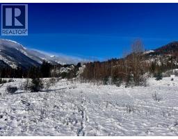 247 Fullmoon Road, Rosebery, BC V0G1S1 Photo 26