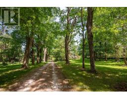 836081 4th Line E, Mulmur, ON L9V0J1 Photo 14