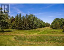 836081 4th Line E, Mulmur, ON L9V0J1 Photo 33