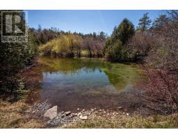 836081 4th Line E, Mulmur, ON L9V0J1 Photo 31