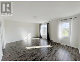 541 Sundew Drive, Kitchener, ON N2V0B8 Photo 31