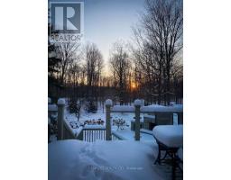 3314 Sandhills Road, Wilmot, ON N3A3A7 Photo 49