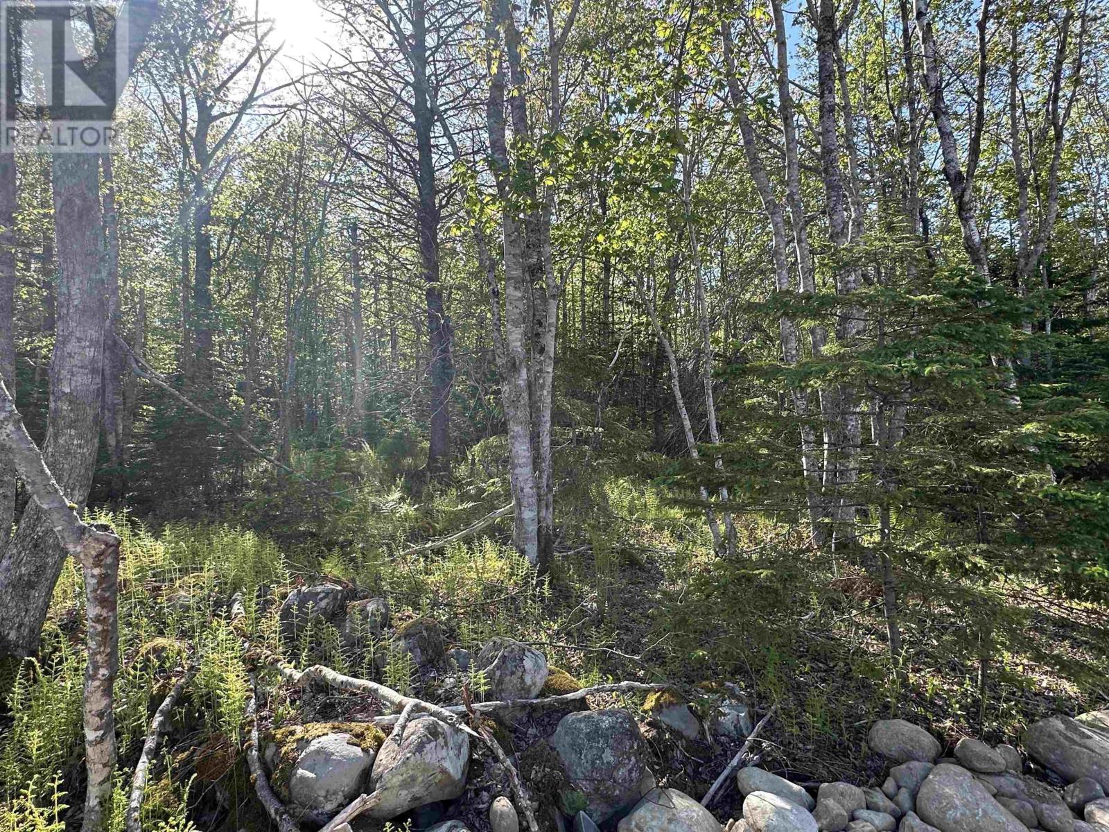 Property 4 of 12 of Lot 2 Shore Road