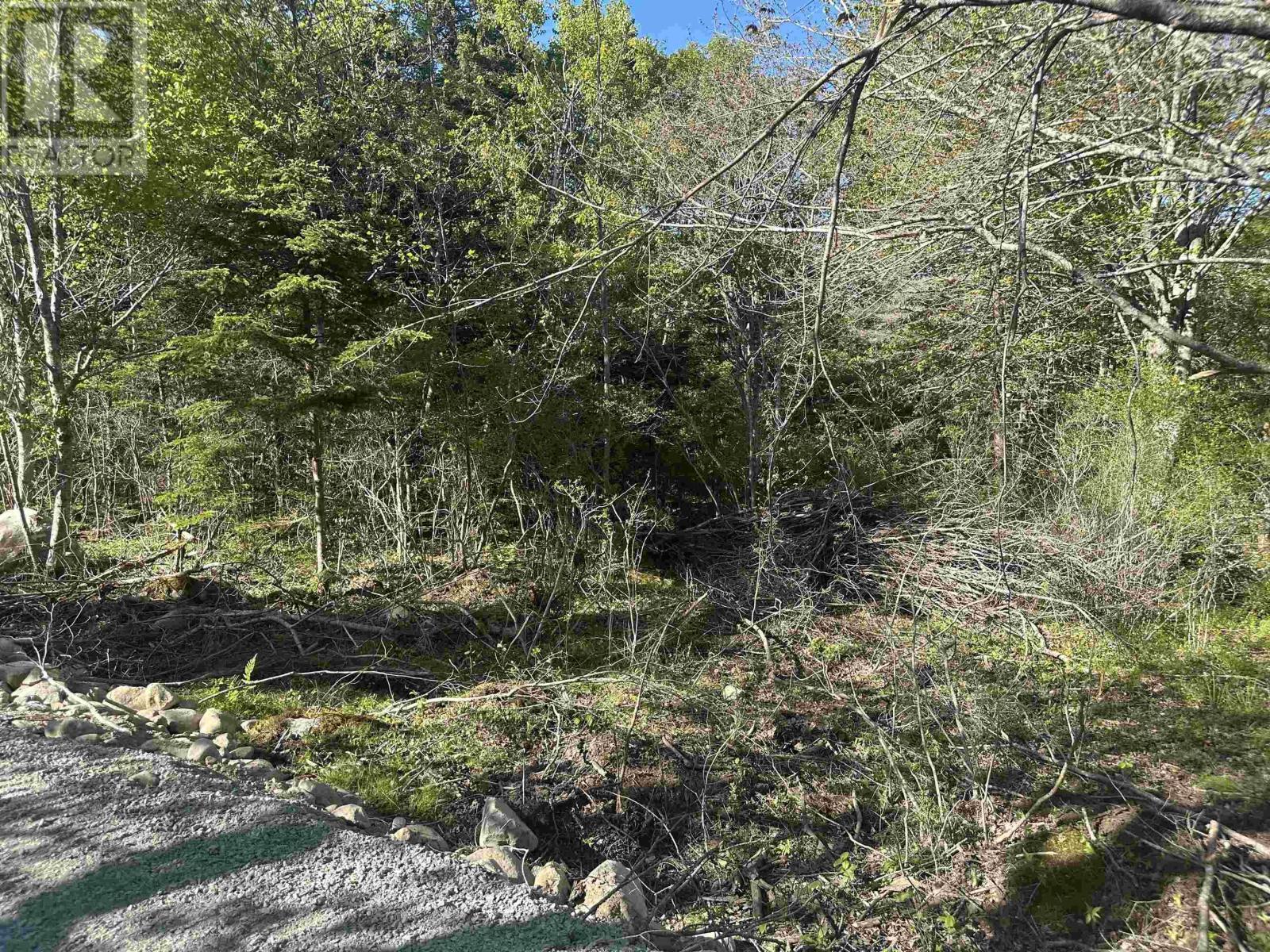 Property 4 of 8 of Lot 7 Shore Road