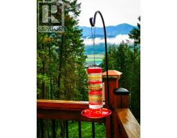9881 Osprey Landing Drive, Wardner, BC V0B2J0 Photo 21