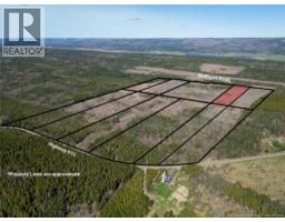 Lot 8 Route 915, Upper New Horton, NB E4H3T4 Photo 6