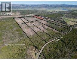 Lot 8 Route 915, Upper New Horton, NB E4H3T4 Photo 8
