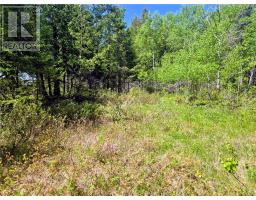248 Whitetail Dr, Barrie Island, ON P0P1H0 Photo 10