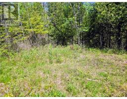 248 Whitetail Dr, Barrie Island, ON P0P1H0 Photo 9