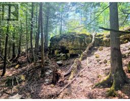 248 Whitetail Dr, Barrie Island, ON P0P1H0 Photo 15