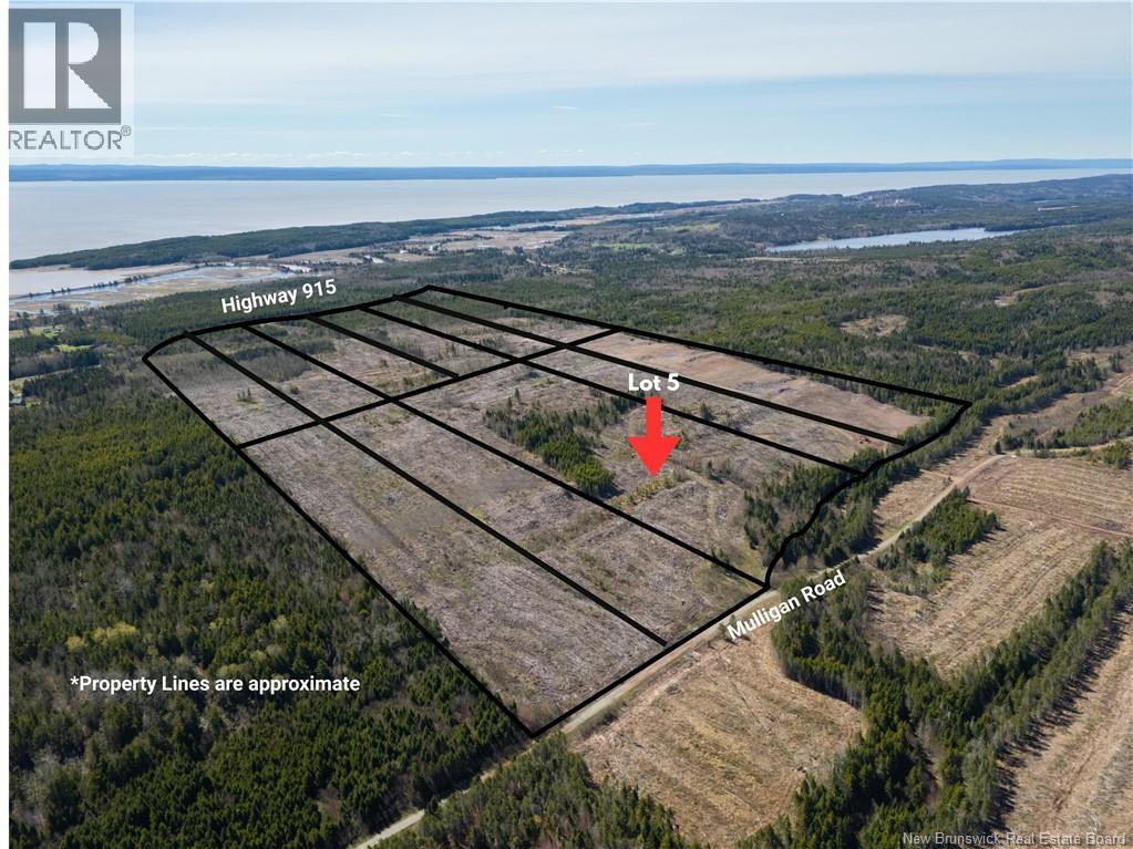 Lot 5 Route 915, Upper New Horton — photo 3