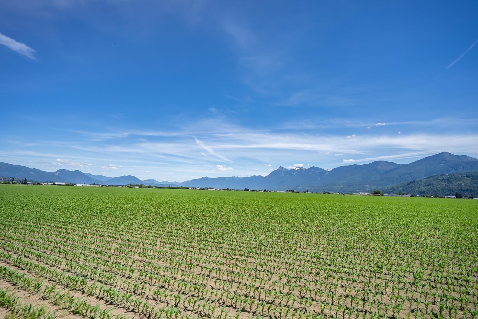 97 46213 HAKWELES ROAD, Sardis East Vedder, Chilliwack