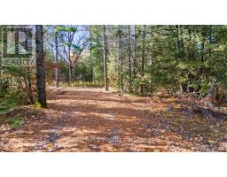 136 Glen Ridge Road, Marmora And Lake, ON K0K2M0 Photo 12