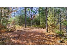 136 Glen Ridge Road, Marmora And Lake, ON K0K2M0 Photo 13