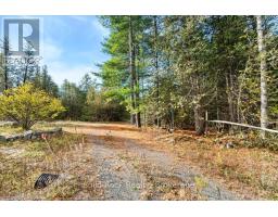 136 Glen Ridge Road, Marmora And Lake, ON K0K2M0 Photo 14