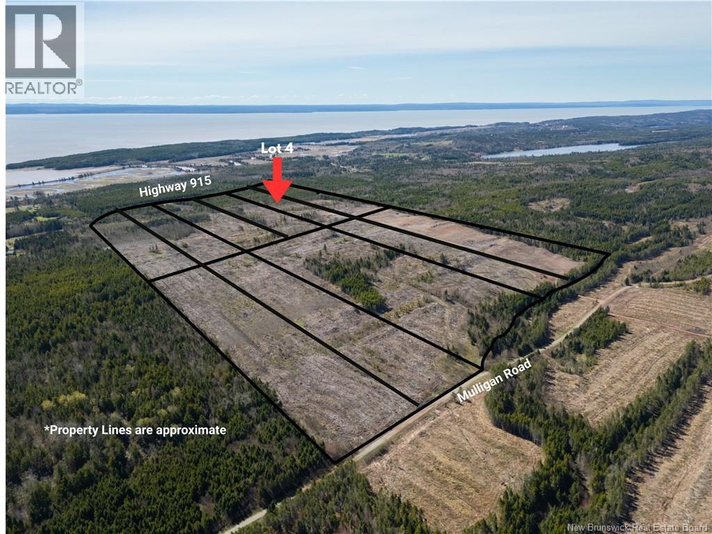 Lot 4 Route 915, Upper New Horton — photo 3