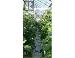 725 Mersea Rd 6 East, Leamington, ON N8H3V8 Photo 26