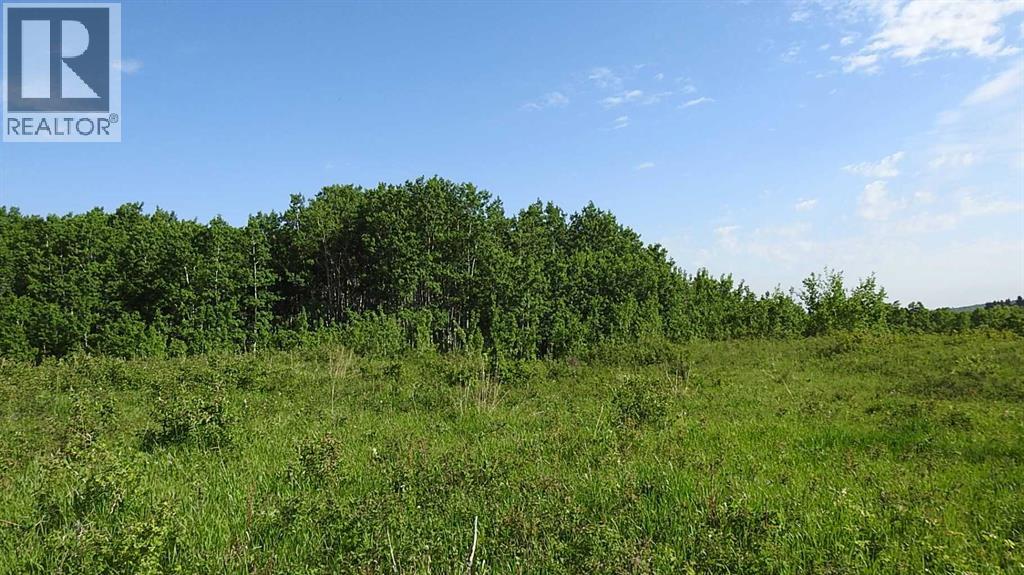 79.41 Acres SE-13-22-3W5 - photo 5
