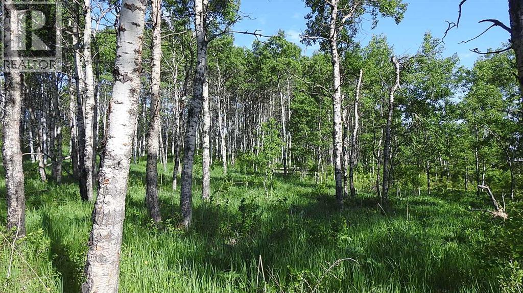 79.41 Acres SE-13-22-3W5 - photo 3