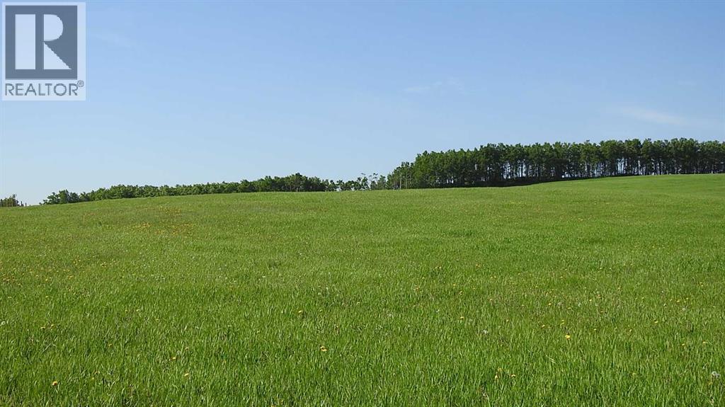 79.41 Acres SE-13-22-3W5 — photo 7