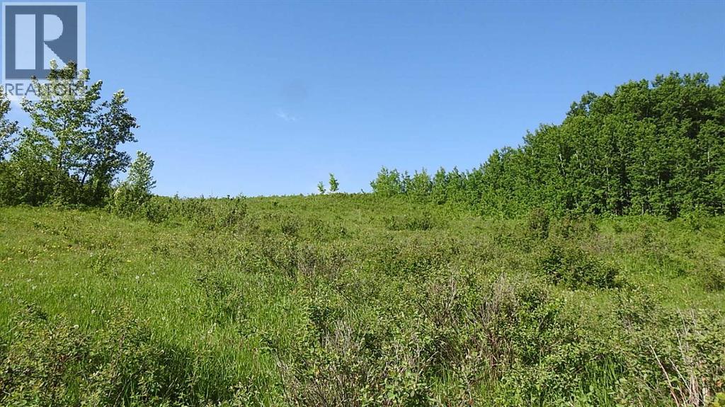 79.41 Acres SE-13-22-3W5 - photo 4