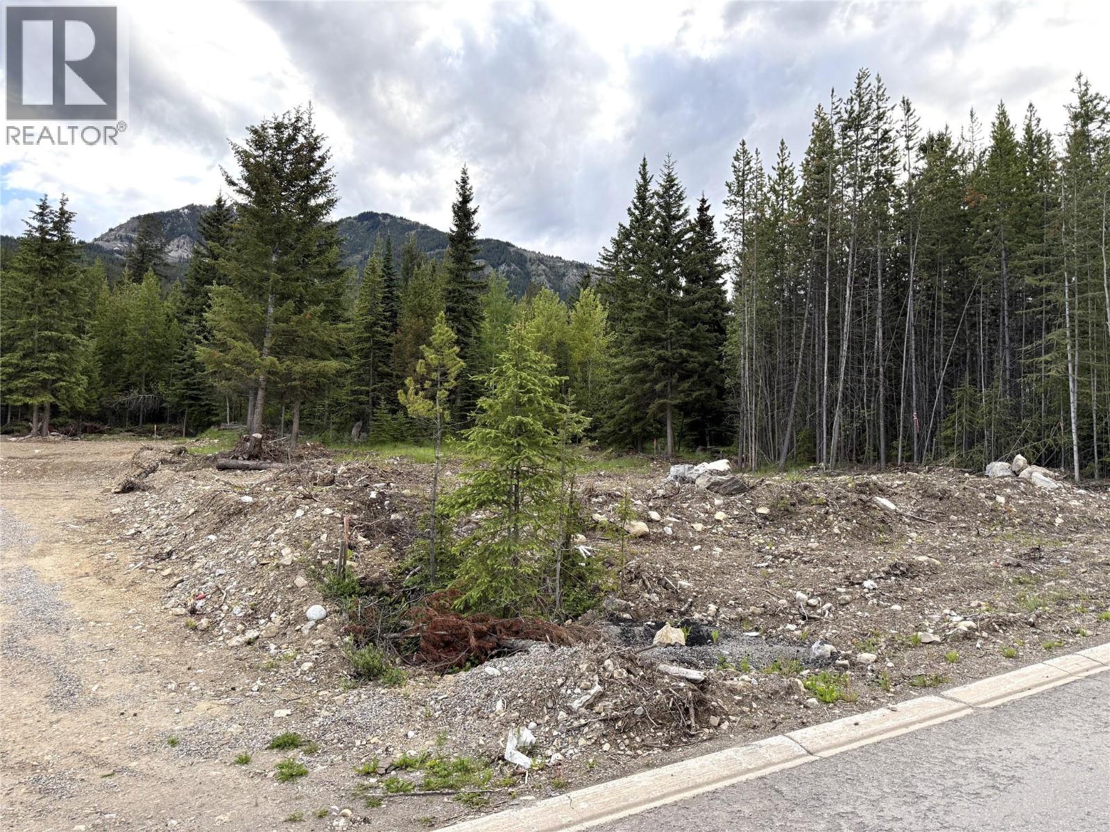 81 DEERBORNE Drive, Elkford — photo 3