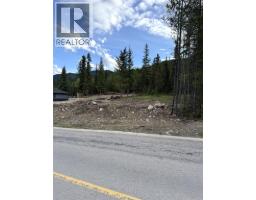 81 Deerborne Drive, Elkford, BC V0B1H0 Photo 6