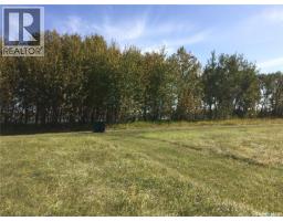 Weslyn Place, Mervin, SK S0M1Y0 Photo 18