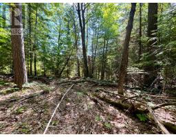 0 Foymount Road, Bonnechere Valley, ON K0J1T0 Photo 11