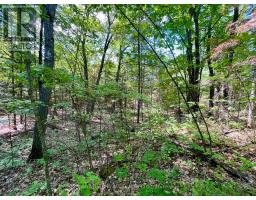 0 Foymount Road, Bonnechere Valley, ON K0J1T0 Photo 15