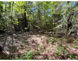 0 Foymount Road, Bonnechere Valley, ON K0J1T0 Photo 12