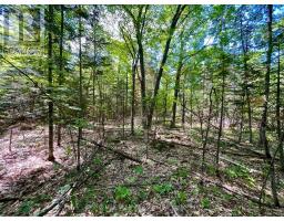0 Foymount Road, Bonnechere Valley, ON K0J1T0 Photo 13