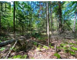 0 Foymount Road, Bonnechere Valley, ON K0J1T0 Photo 10