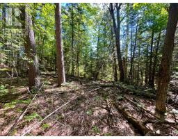 0 Foymount Road, Bonnechere Valley, ON K0J1T0 Photo 6