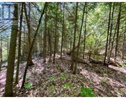 0 Foymount Road, Bonnechere Valley, ON K0J1T0 Photo 7