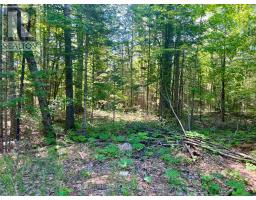 0 Foymount Road, Bonnechere Valley, ON K0J1T0 Photo 17