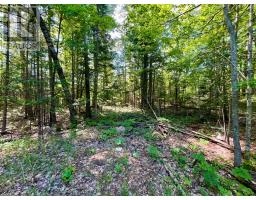 0 Foymount Road, Bonnechere Valley, ON K0J1T0 Photo 16