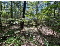 0 Foymount Road, Bonnechere Valley, ON K0J1T0 Photo 14