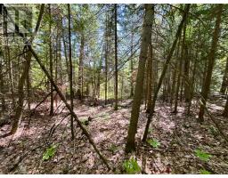 0 Foymount Road, Bonnechere Valley, ON K0J1T0 Photo 8