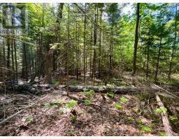 0 Foymount Road, Bonnechere Valley, ON K0J1T0 Photo 9