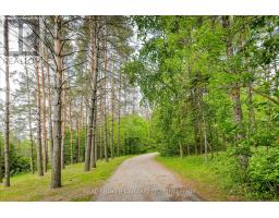 490 Spruce Street, Centre Wellington, ON N1M2W5 Photo 38